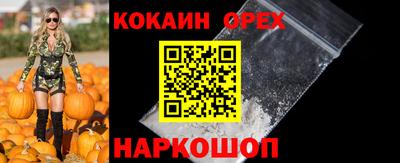 гидра Малоярославец