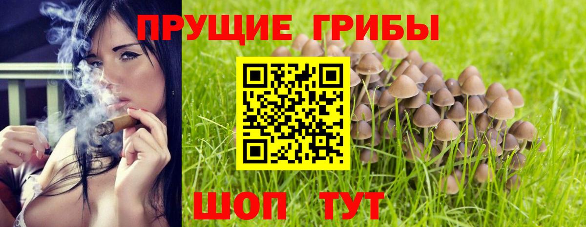 Дмитров  Галлюциногенные грибы Magic Shrooms  Вход с VPN 