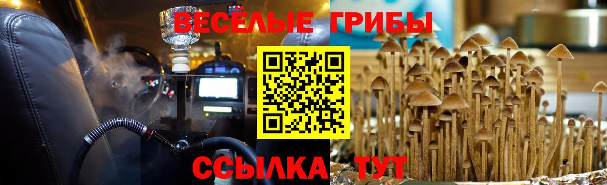 Псилоцибиновые грибы GOLDEN TEACHER Дмитров